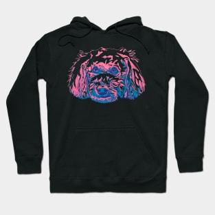 Bichpoo Hoodie